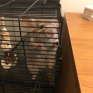 Meet your Posher, Tori